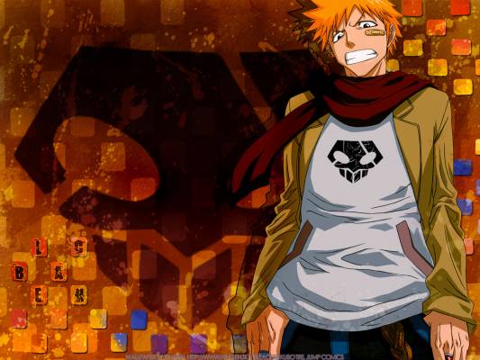 Otaku Gallery  / Anime e Manga / Bleach / Wallpapers / 039.jpg